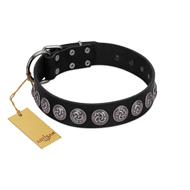 "Black Raven" Handmade FDT Artisan Black Leather Rottweiler Collar with Silver-Like Adornments