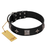 "Black Cavalier" Handmade FDT Artisan Black Leather Rottweiler Collar with Silver-Like Stars and Large Plates