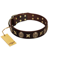 "Captain Hook" FDT Artisan Brown Leather Rottweiler Collar with Stars and Skulls