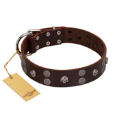 "Skull Valley" Handcrafted FDT Artisan Brown Leather Rottweiler Collar with Skulls
