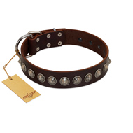 "Gothic Style" FDT Artisan Fancy Brown Leather Rottweiler Collar with Silver-Like Decorations