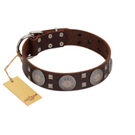 "Sun in Barchans" Modern FDT Artisan Brown Leather Rottweiler Collar with Engraved Stars on Round Plates and Studs