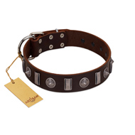 "Spiky Way" FDT Artisan Brown Leather Rottweiler Collar with Silver-Like Decorations