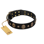 Pirate's Spell' FDT Artisan Black Leather Rottweiler Collar with Engraved Studs and Medallions