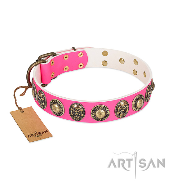 Easy adjustable leather dog collar for basic training your dog