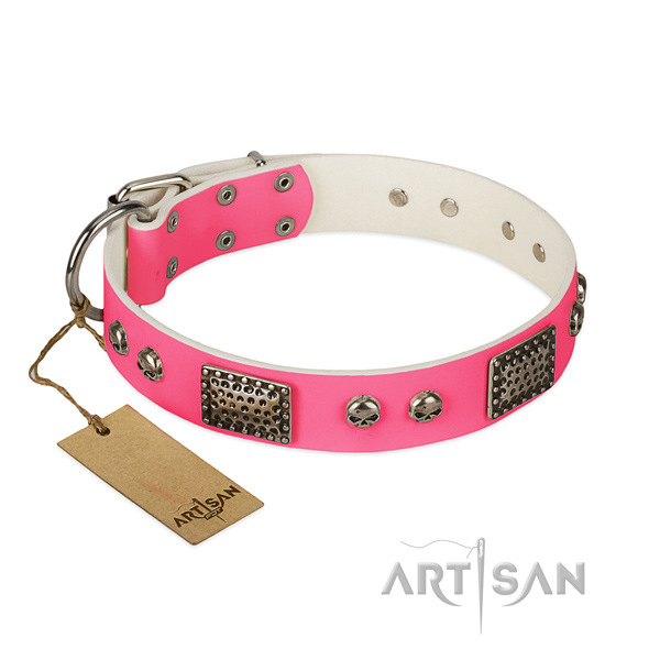 Easy adjustable full grain leather dog collar for walking your pet