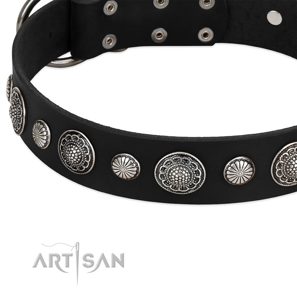Full grain genuine leather collar with strong D-ring for your handsome canine