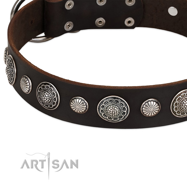 Full grain leather collar with corrosion resistant D-ring for your impressive four-legged friend