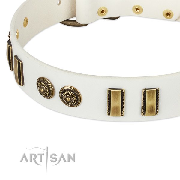 Corrosion proof traditional buckle on natural leather dog collar for your pet