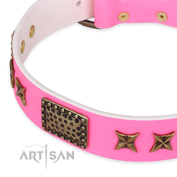 Full grain genuine leather collar with corrosion proof hardware for your lovely pet