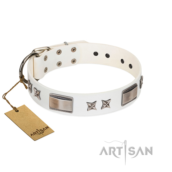 Trendy dog collar of genuine leather