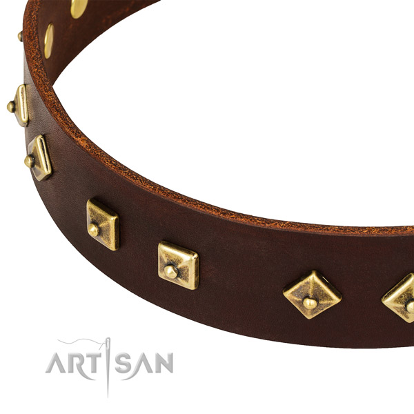 Easy wearing leather collar for your stylish dog