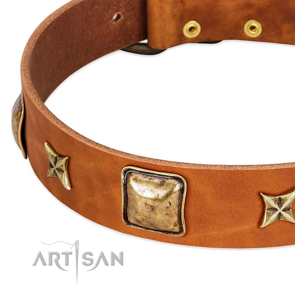 Corrosion proof hardware on full grain genuine leather dog collar for your dog