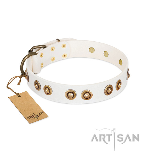 Designer genuine leather collar for your four-legged friend