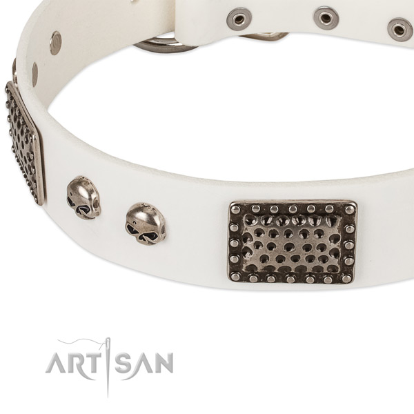 Rust resistant studs on genuine leather dog collar for your dog