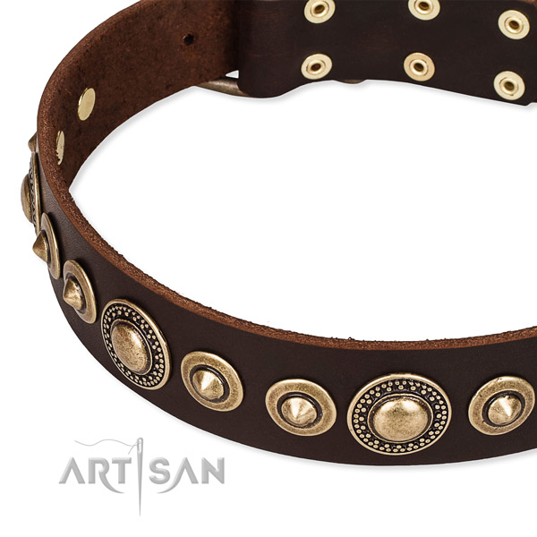 Best quality genuine leather dog collar created for your handsome pet