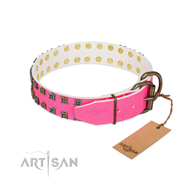 Full grain leather collar with unique studs for your four-legged friend