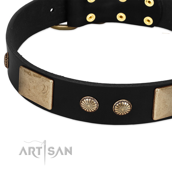 Full grain genuine leather dog collar with adornments for handy use