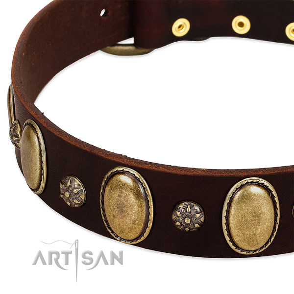 Comfy wearing best quality leather dog collar