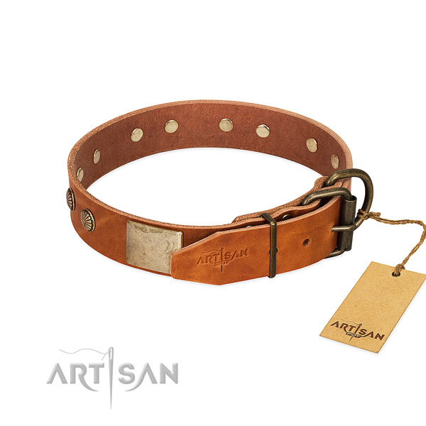 Strong buckle on handy use dog collar