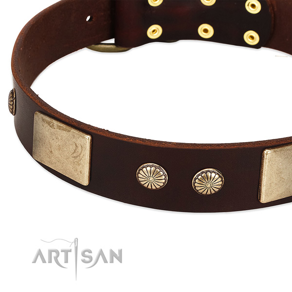 Reliable traditional buckle on full grain genuine leather dog collar for your four-legged friend