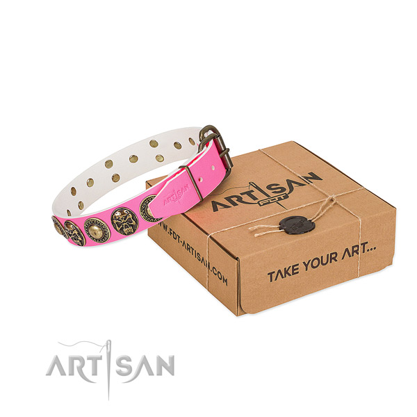 Durable buckle on dog collar for daily walking