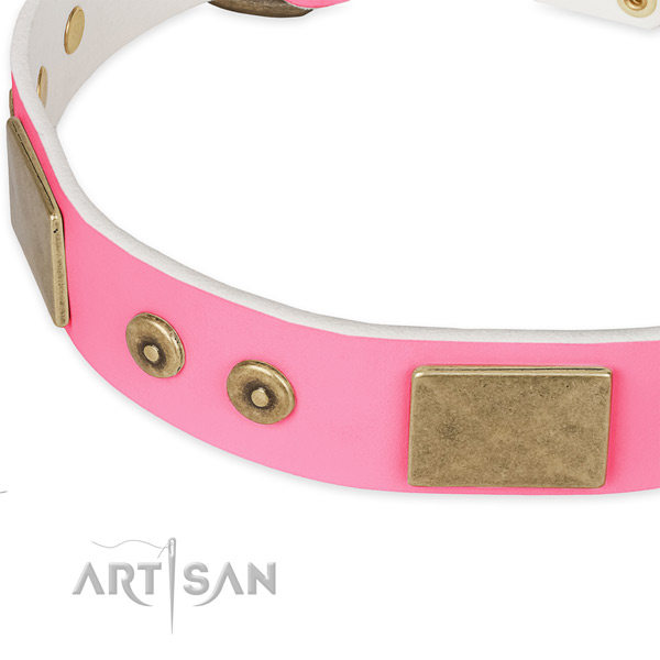Full grain leather dog collar with decorations for everyday walking