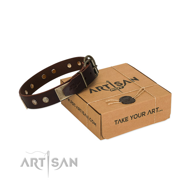 Strong embellishments on dog collar for stylish walking