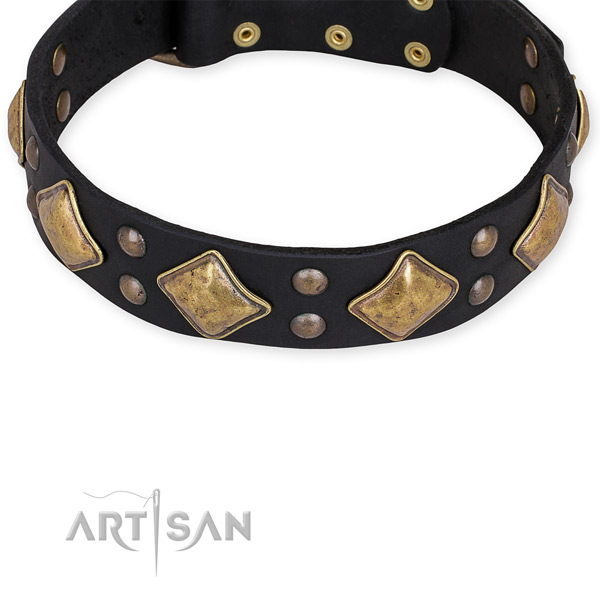 Genuine leather dog collar with remarkable corrosion proof adornments