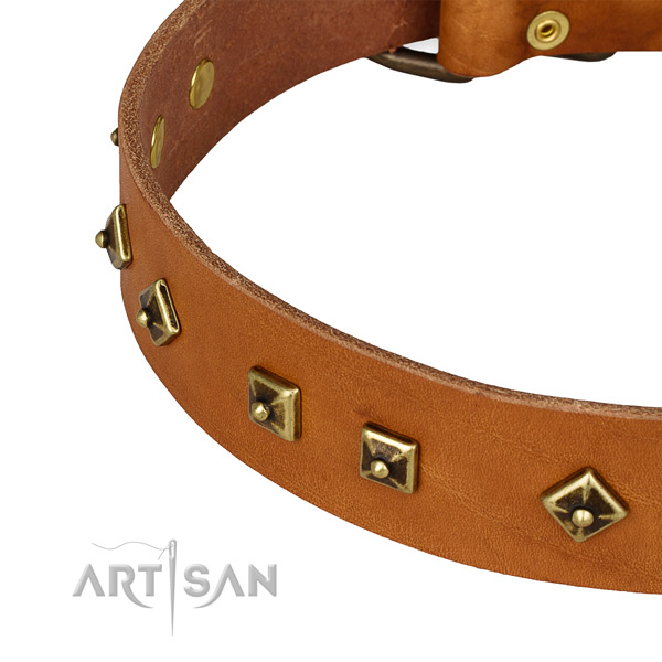 Inimitable full grain genuine leather collar for your beautiful pet