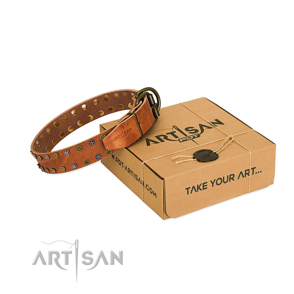 Daily walking gentle to touch leather dog collar with studs