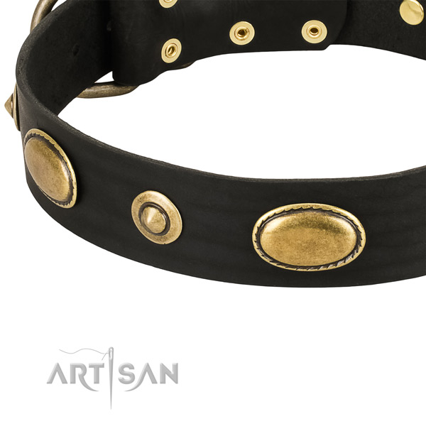 Corrosion resistant decorations on natural leather dog collar for your four-legged friend