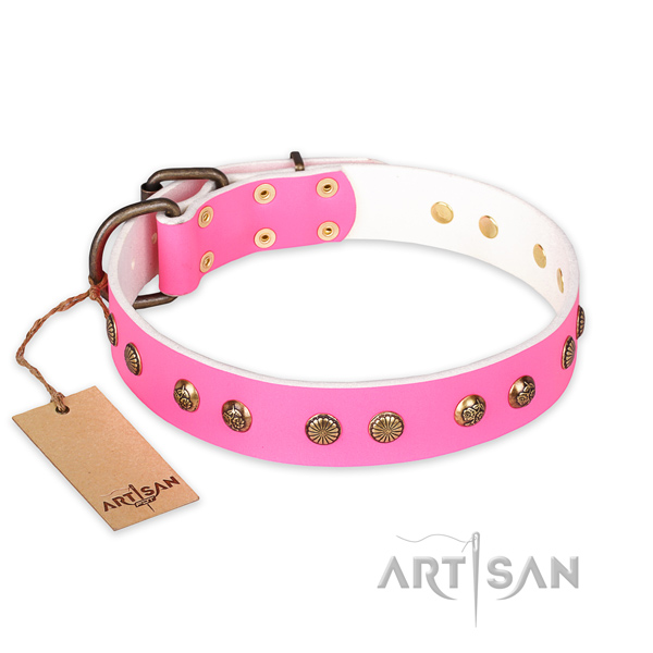 Amazing natural genuine leather dog collar with strong fittings