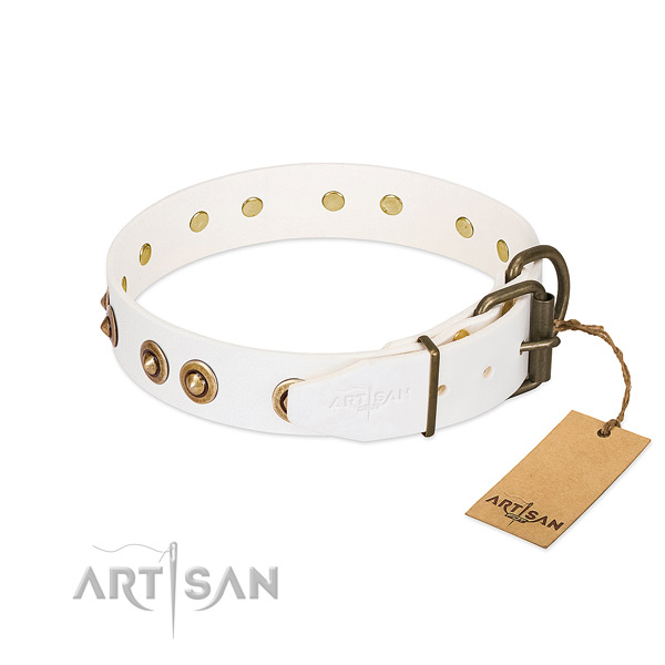 Rust-proof embellishments on full grain natural leather dog collar for your pet