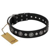 "Vintage Elegance" FDT Artisan Black Leather Rottweiler Collar with Engraved Brooches and Studs
