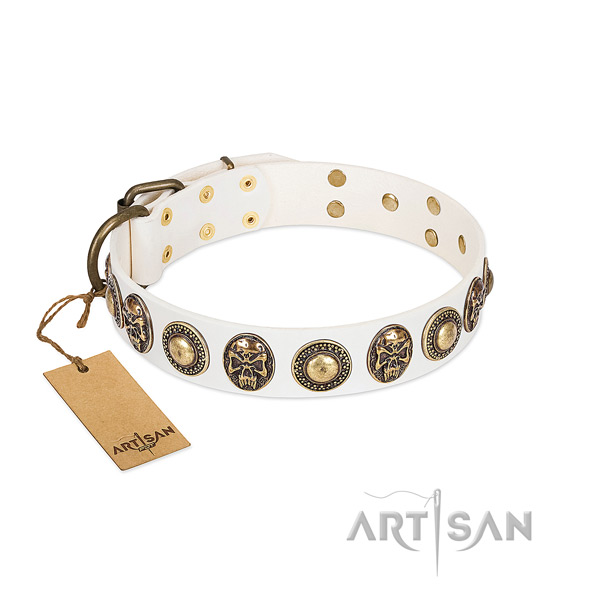 Adjustable genuine leather dog collar for daily walking your canine