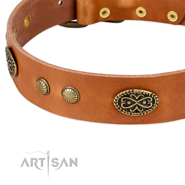 Strong D-ring on full grain genuine leather dog collar for your dog