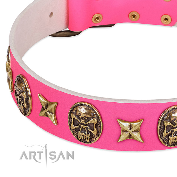 Full grain leather dog collar with significant adornments