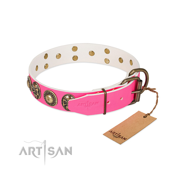 Reliable decorations on comfy wearing dog collar
