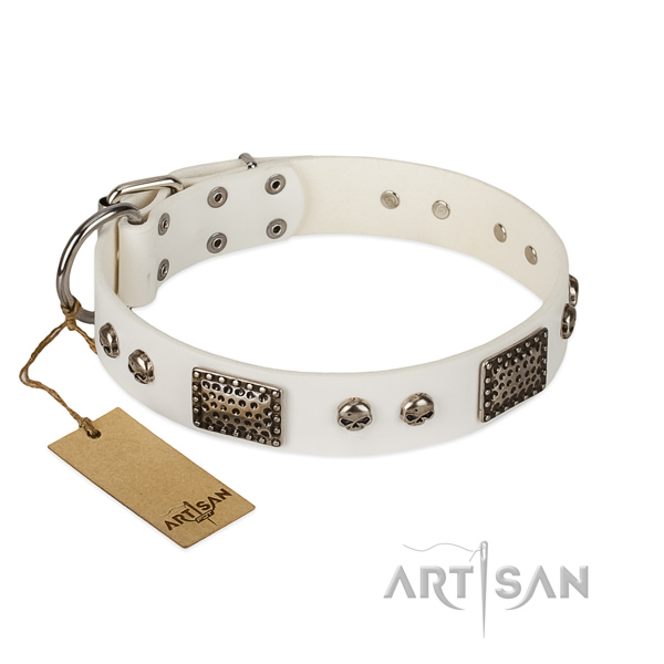 Easy adjustable natural genuine leather dog collar for everyday walking your doggie