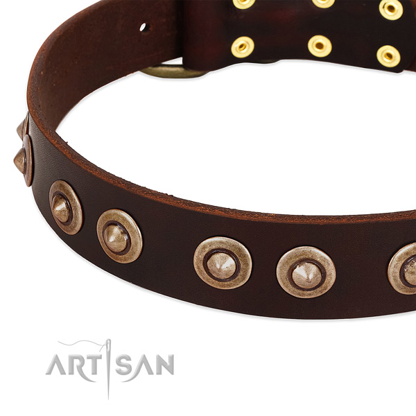 Corrosion resistant buckle on full grain leather dog collar for your doggie