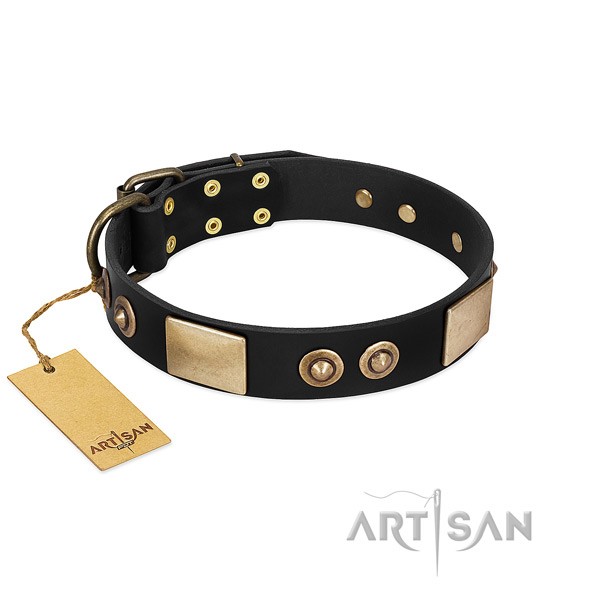Easy to adjust full grain natural leather dog collar for stylish walking your canine