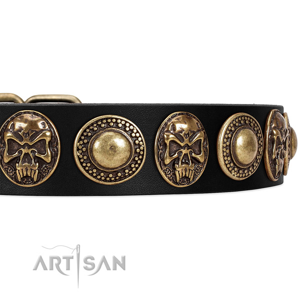 Full grain leather dog collar with decorations for daily walking