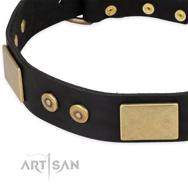 Corrosion proof adornments on full grain natural leather dog collar for your dog