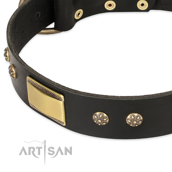 Rust-proof D-ring on natural leather dog collar for your pet