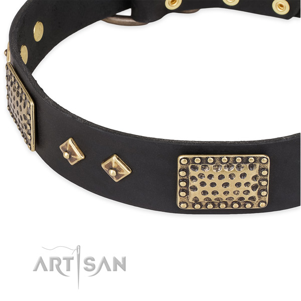 Rust-proof fittings on full grain natural leather dog collar for your dog