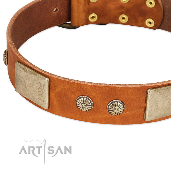 Corrosion resistant traditional buckle on full grain natural leather dog collar for your doggie