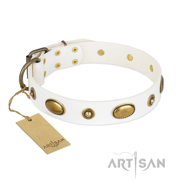 Studded genuine leather collar for your four-legged friend