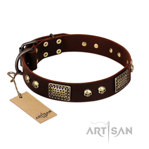 Easy adjustable genuine leather dog collar for basic training your pet