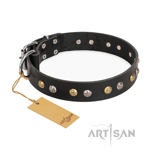 Fancy walking incredible dog collar with durable buckle